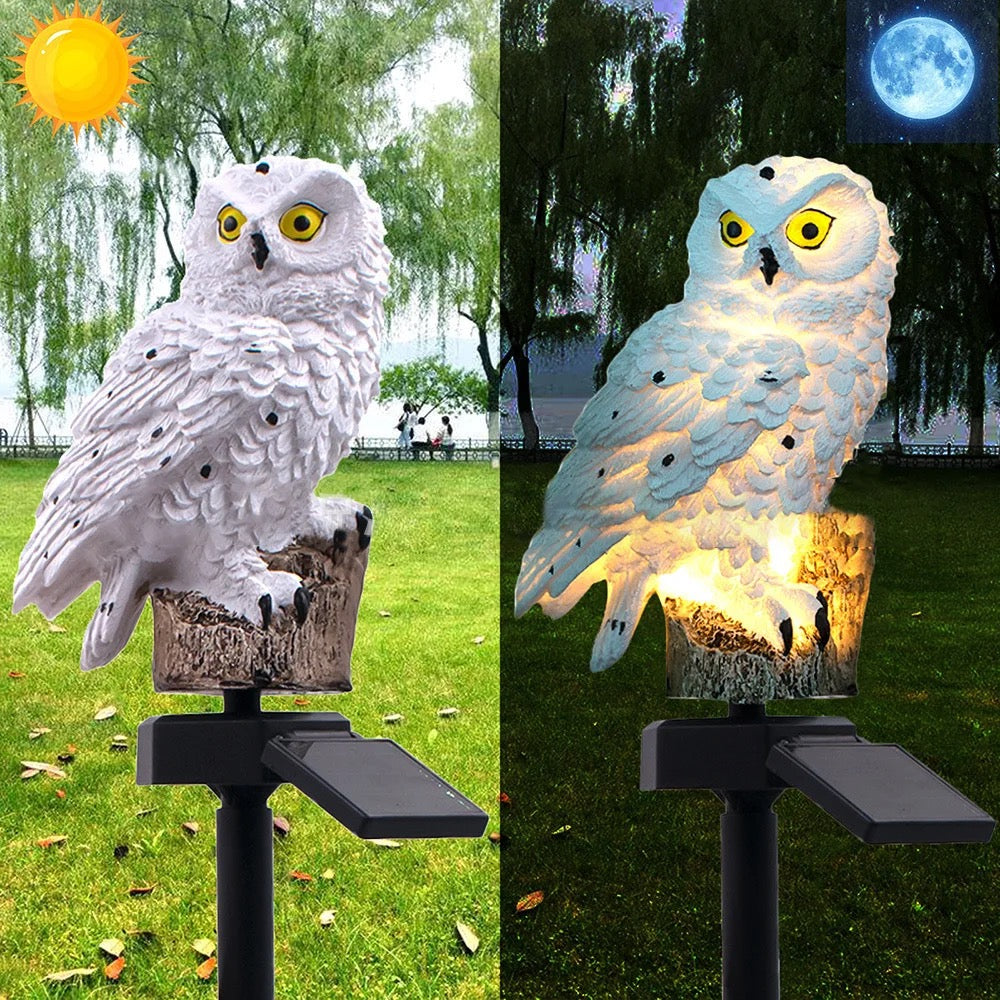 Solar Owl Light