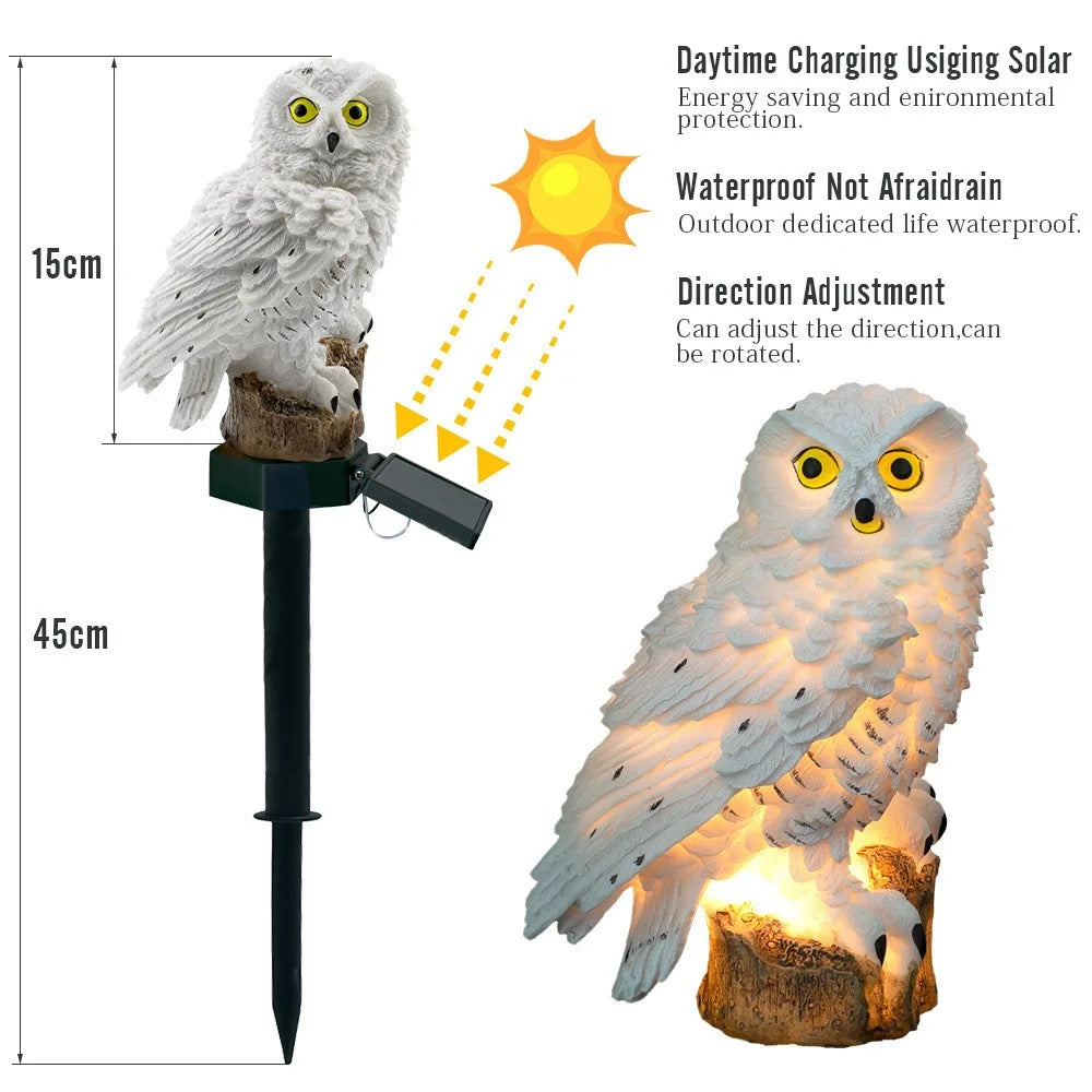 Solar Owl Light