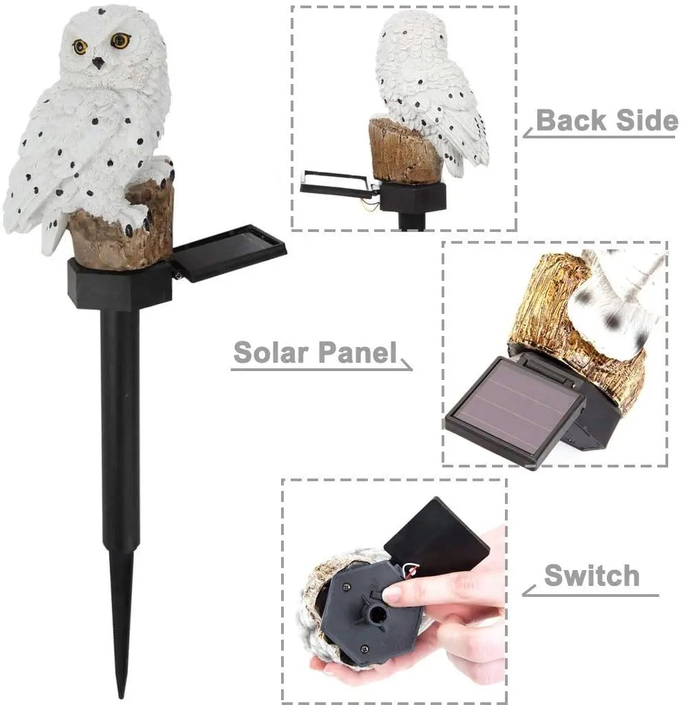 Solar Owl Light